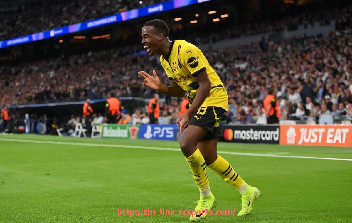 杏彩体育-2025赛季德甲参赛球队变化及德比对阵安排