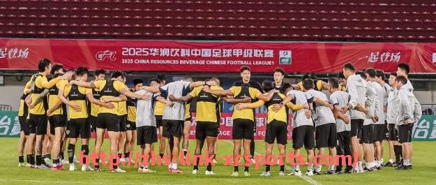 杏彩体育-英超最励志球队的成功故事与挑战