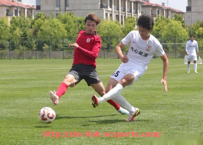 杏彩体育-德甲球队重建过程与战术改革分析