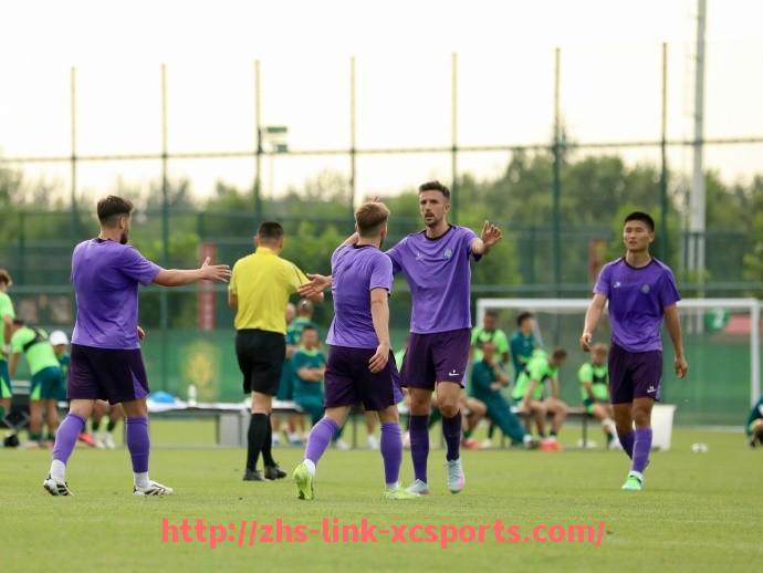 杏彩体育-法甲防守战术创新实例分析及球队执行情况