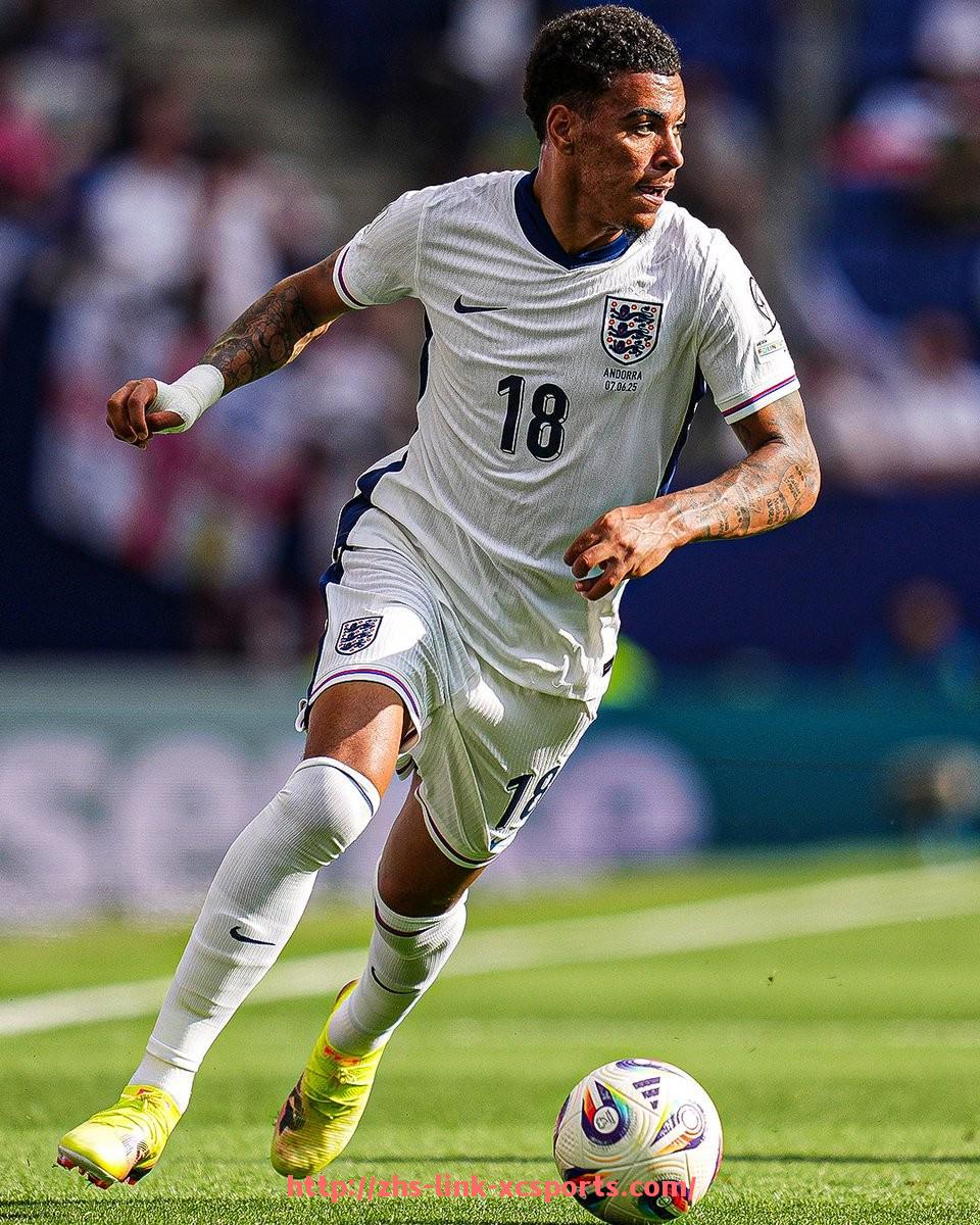 杏彩体育-世俱杯比赛暂停恢复技术标准制定原则与应用方法